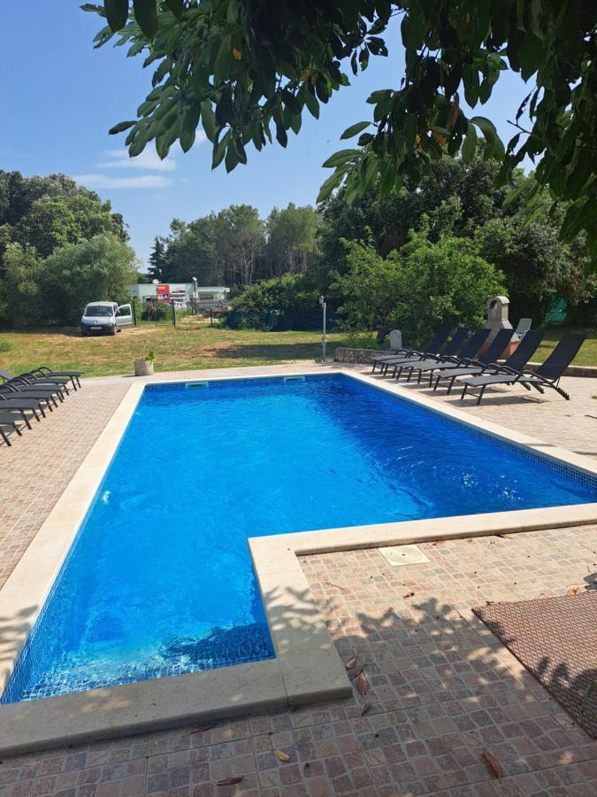 Villa Eucaliptus Istrien Ровінь Екстер'єр фото